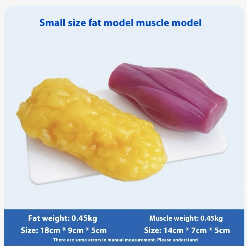 Human Muscle and Fat Replicas  - Nutrition Of Fitness recension och pris
